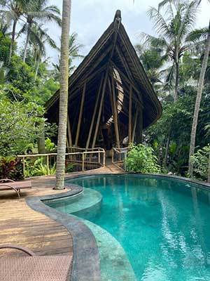 Bamboo House and Pool