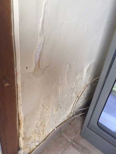 Damp and wet walls