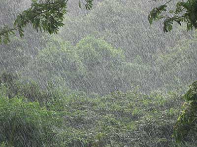 Rainwater Harvesting