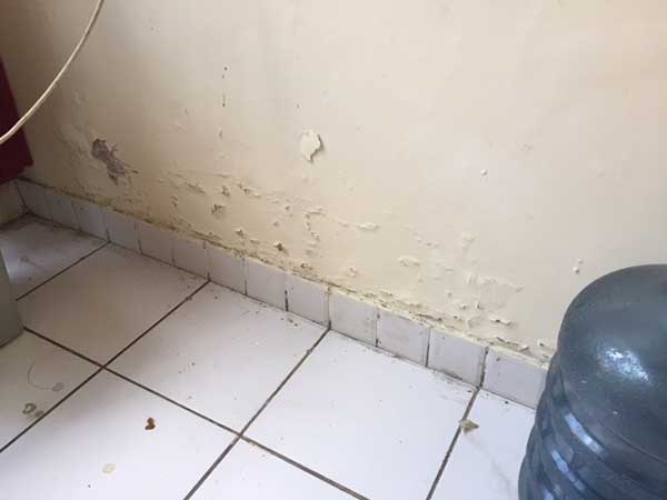 typical rising damp in a wall