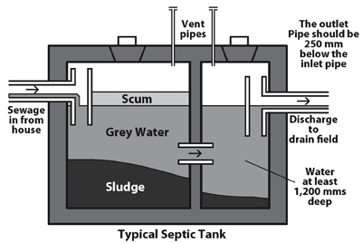 Septic Field Size Chart