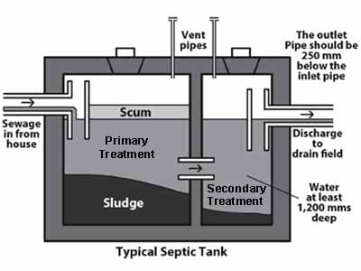 How Does a Septic System Work?