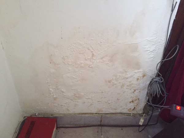serious rising damp in a wall