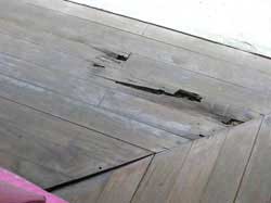 Termite Damage