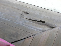 Termite Damage